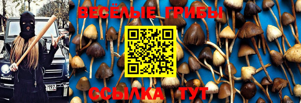 Среднеуральск  Псилоцибиновые грибы мухоморы  купить наркоту  Вход с VPN 